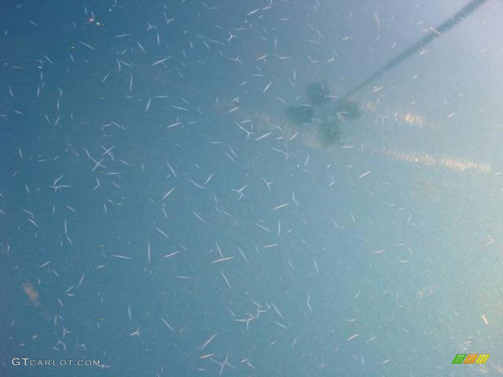 1998 Safari SLE Passenger Van - Forest Green / Medium Grey photo #32