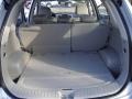 2009 Bright Silver Kia Rondo LX  photo #16