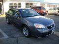 2006 Medium Gray Metallic Chevrolet Malibu LT V6 Sedan  photo #4