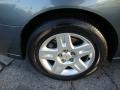 2006 Medium Gray Metallic Chevrolet Malibu LT V6 Sedan  photo #26