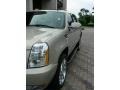 Gold Mist - Escalade EXT AWD Photo No. 5