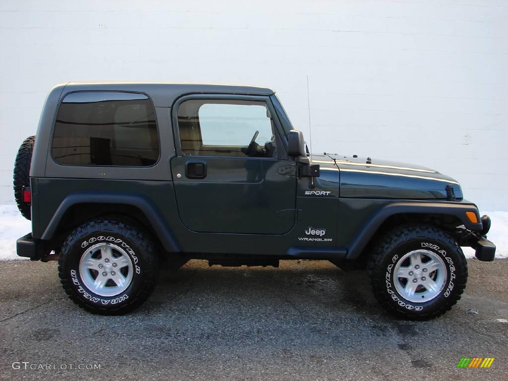 2004 Wrangler Sport 4x4 - Shale Green Metallic / Khaki photo #3