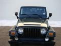 2004 Shale Green Metallic Jeep Wrangler Sport 4x4  photo #5