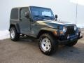 2004 Shale Green Metallic Jeep Wrangler Sport 4x4  photo #6