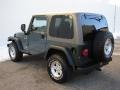 2004 Shale Green Metallic Jeep Wrangler Sport 4x4  photo #9