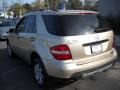 Desert Silver Metallic - ML 350 4Matic Photo No. 19