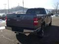 2007 Dark Shadow Grey Metallic Ford F150 XLT SuperCrew 4x4  photo #4