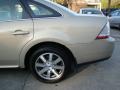 Dune Pearl Metallic - Taurus SEL Photo No. 31