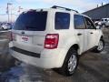 2009 White Suede Ford Escape XLT V6 4WD  photo #5