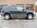 2002 Black Clearcoat Ford Escape XLT V6  photo #2