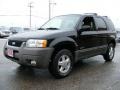 2002 Black Clearcoat Ford Escape XLT V6  photo #7