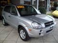 2007 Platinum Metallic Hyundai Tucson GLS  photo #1