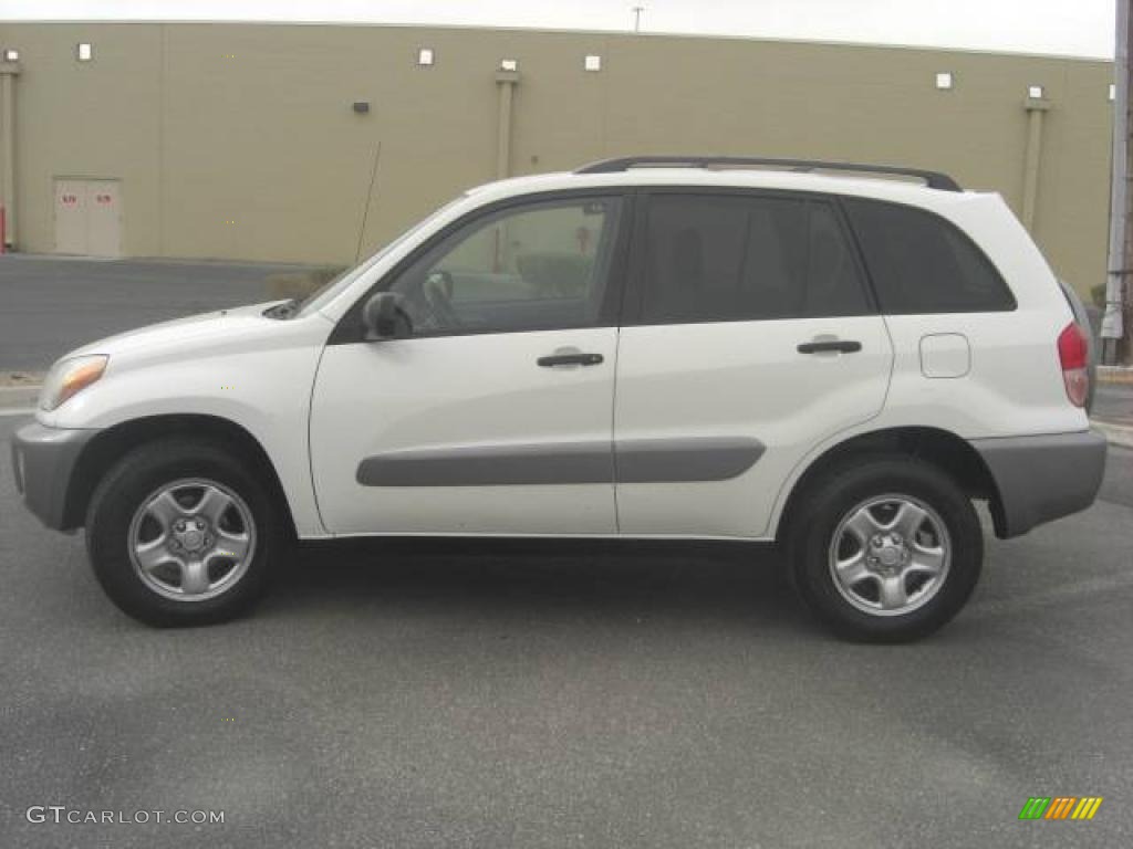 2003 RAV4  - Frosted White Pearl / Gray photo #1