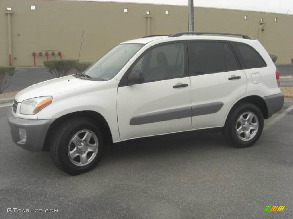 2003 RAV4  - Frosted White Pearl / Gray photo #2