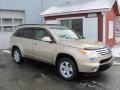 2007 Prairie Gold Metallic Suzuki XL7 Luxury AWD  photo #1