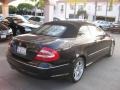 2004 Mocha Black Metallic Mercedes-Benz CLK 500 Cabriolet  photo #3