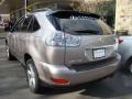 Thunder Cloud Metallic - RX 330 AWD Thundercloud Edition Photo No. 4