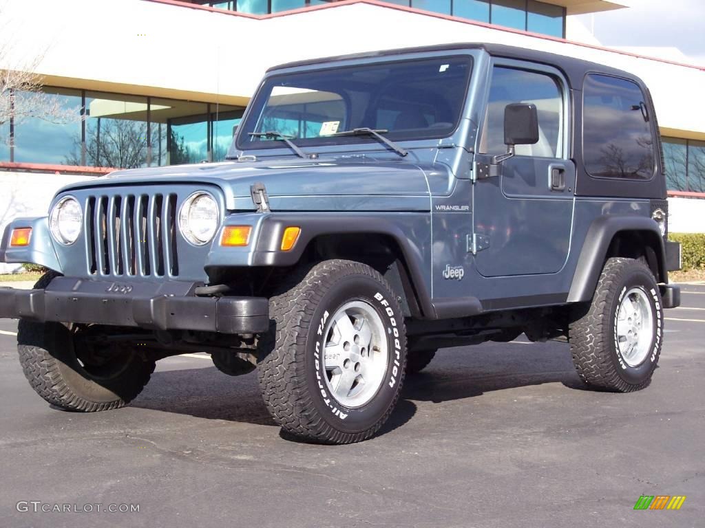 1998 Wrangler SE 4x4 - Gun Metal Pearl / Gray photo #4