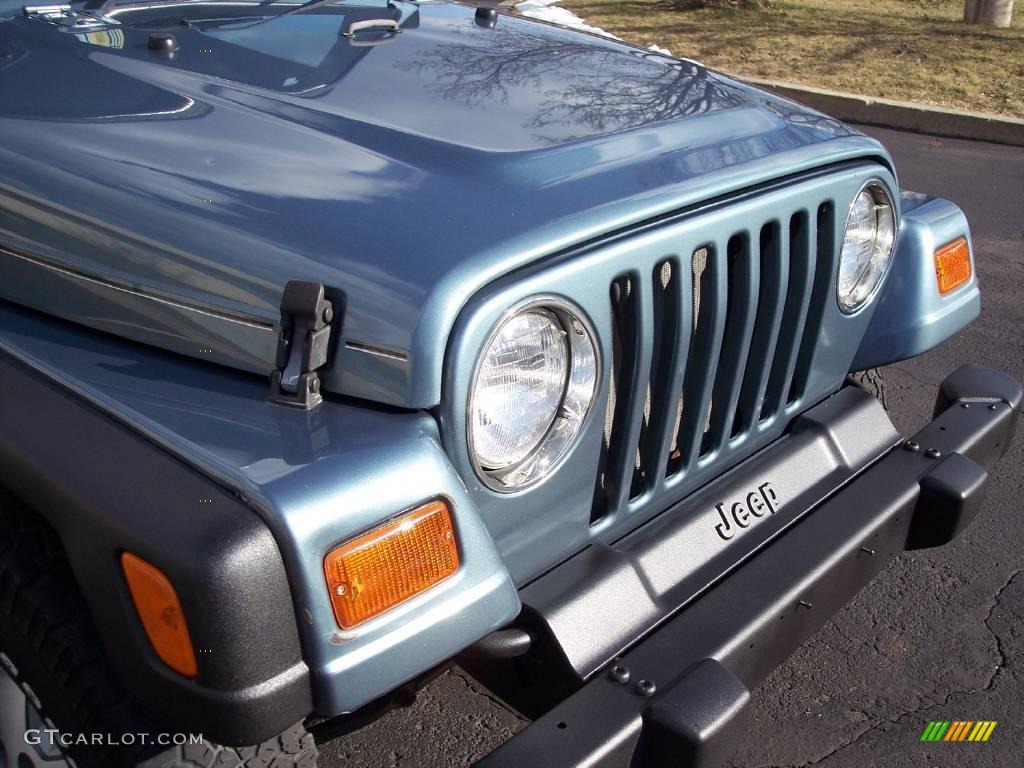 1998 Wrangler SE 4x4 - Gun Metal Pearl / Gray photo #14