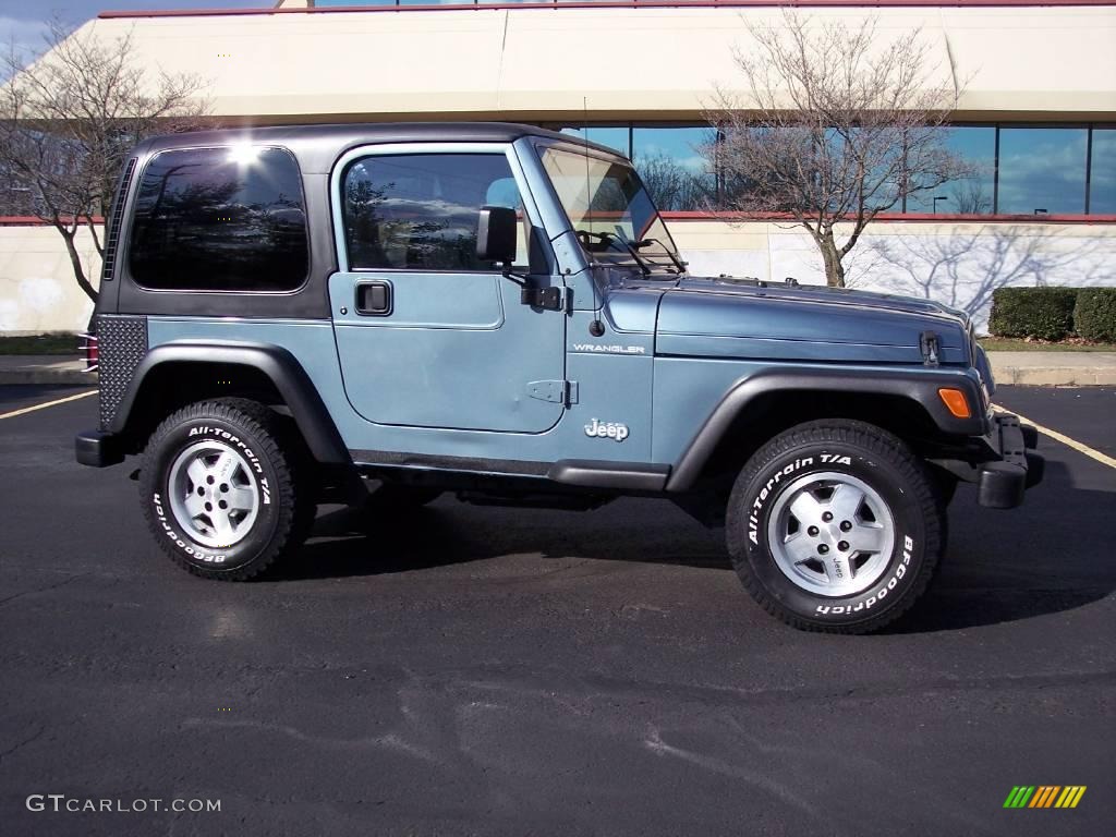 1998 Wrangler SE 4x4 - Gun Metal Pearl / Gray photo #19