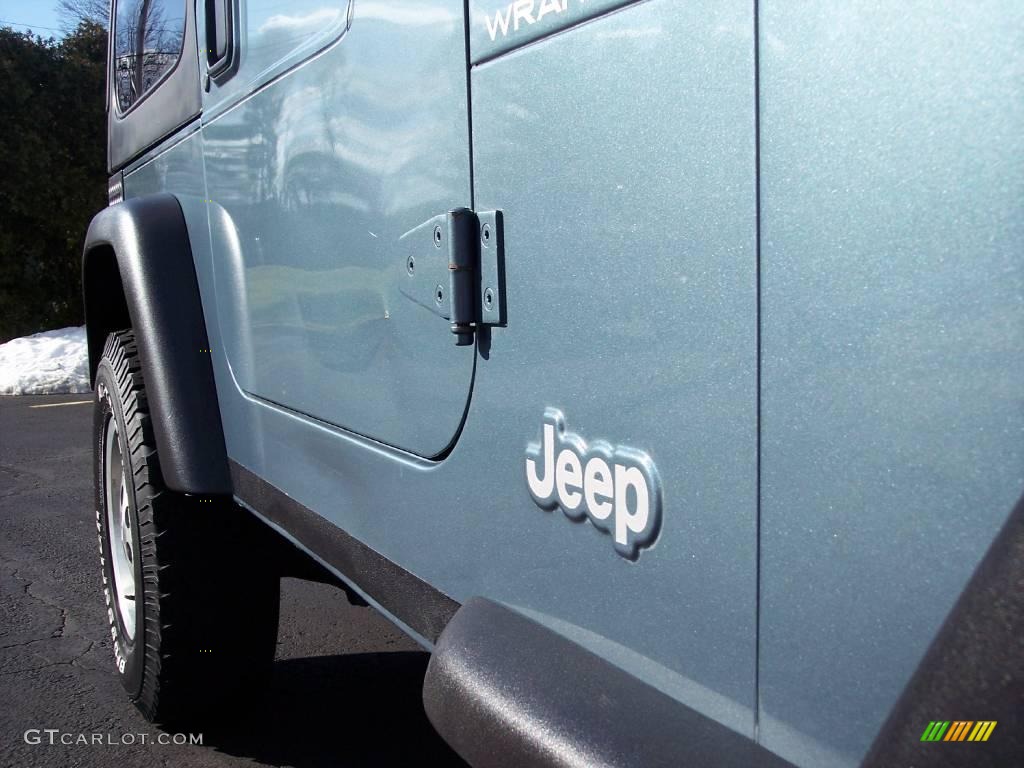 1998 Wrangler SE 4x4 - Gun Metal Pearl / Gray photo #21
