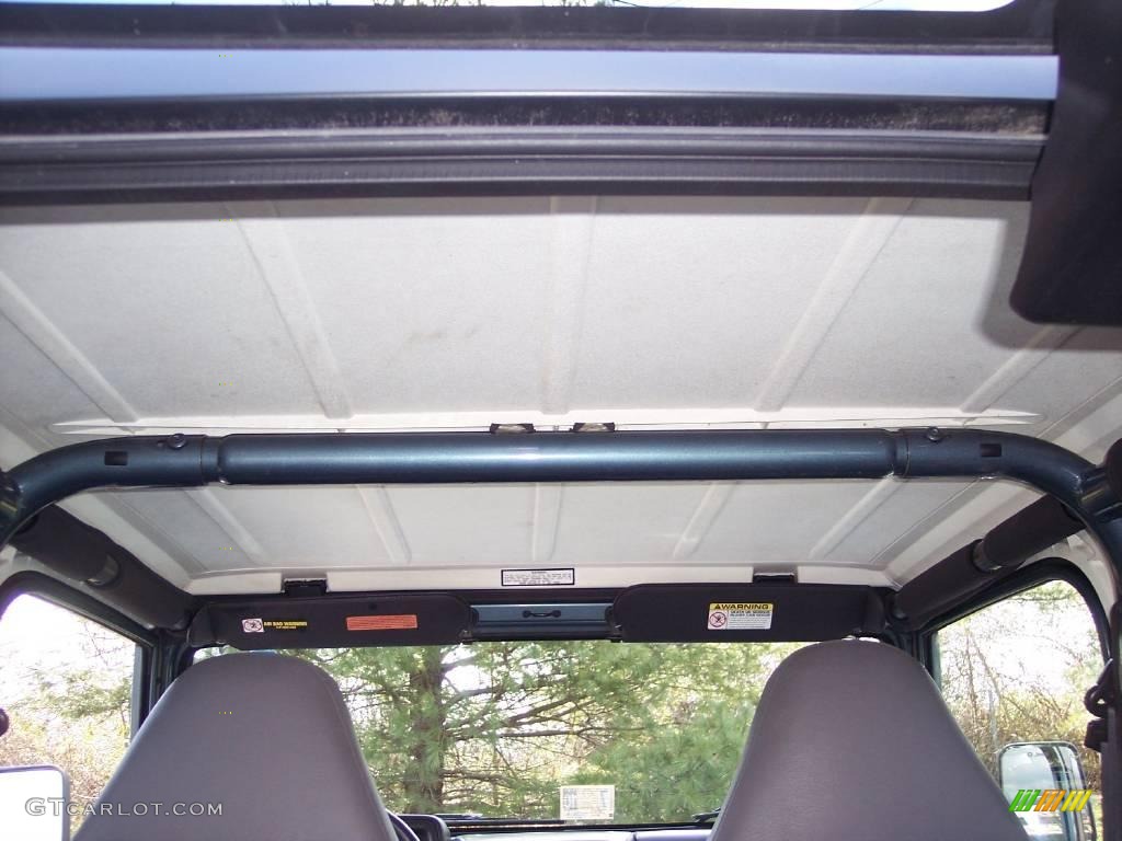 1998 Wrangler SE 4x4 - Gun Metal Pearl / Gray photo #43