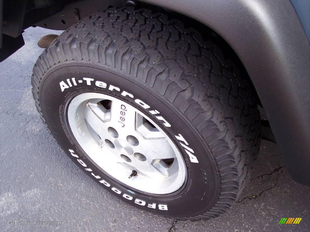 1998 Wrangler SE 4x4 - Gun Metal Pearl / Gray photo #50
