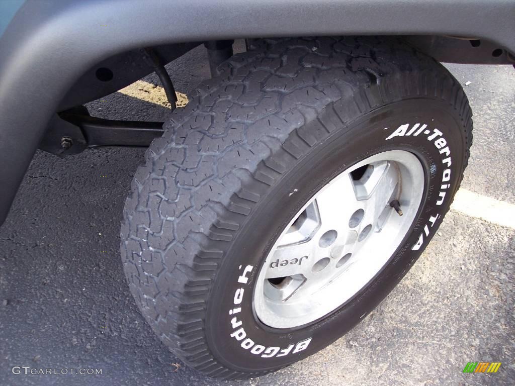 1998 Wrangler SE 4x4 - Gun Metal Pearl / Gray photo #51