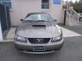 2002 Mineral Grey Metallic Ford Mustang GT Coupe  photo #1