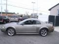 2002 Mineral Grey Metallic Ford Mustang GT Coupe  photo #3