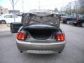 2002 Mineral Grey Metallic Ford Mustang GT Coupe  photo #9