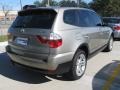 Platinum Bronze Metallic - X3 3.0si Photo No. 3