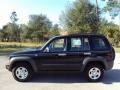 Black - Liberty Sport 4x4 Photo No. 2