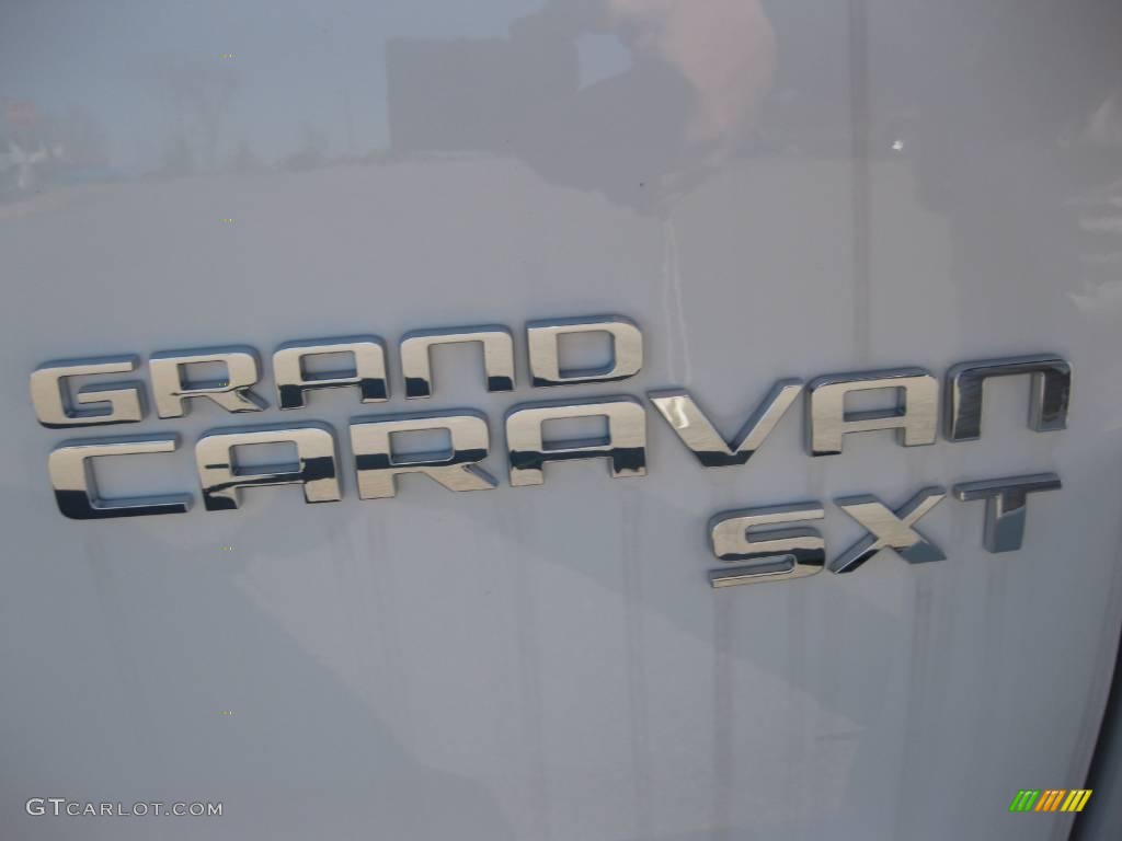 2010 Grand Caravan SXT - Stone White / Medium Slate Gray/Light Shale photo #7