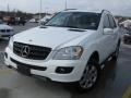 Alabaster White - ML 350 4Matic Photo No. 2