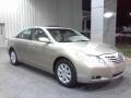 Desert Sand Mica - Camry XLE V6 Photo No. 17
