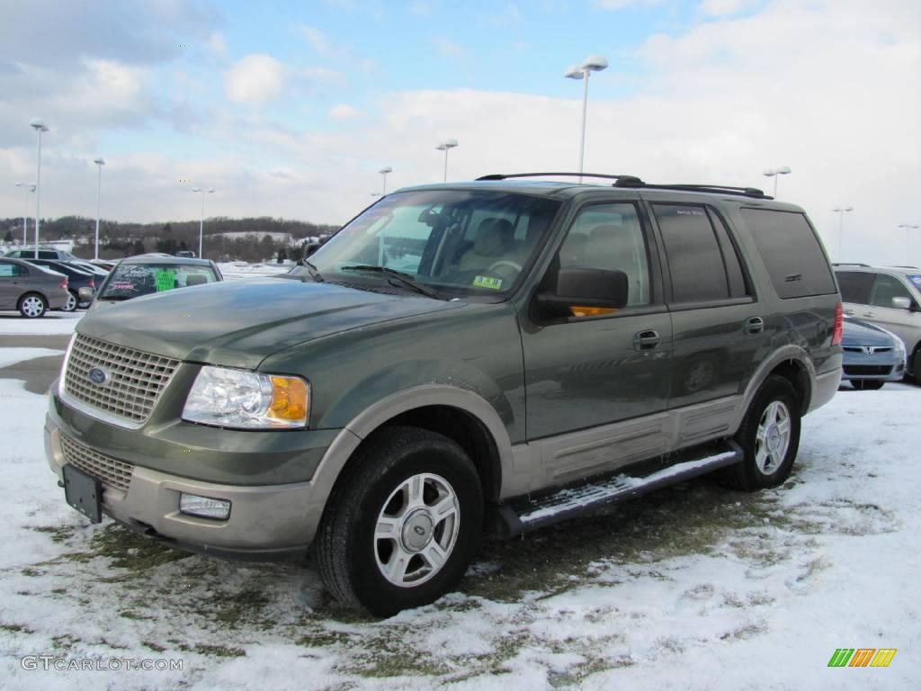 2003 Expedition Eddie Bauer 4x4 - Estate Green Metallic / Medium Parchment photo #1