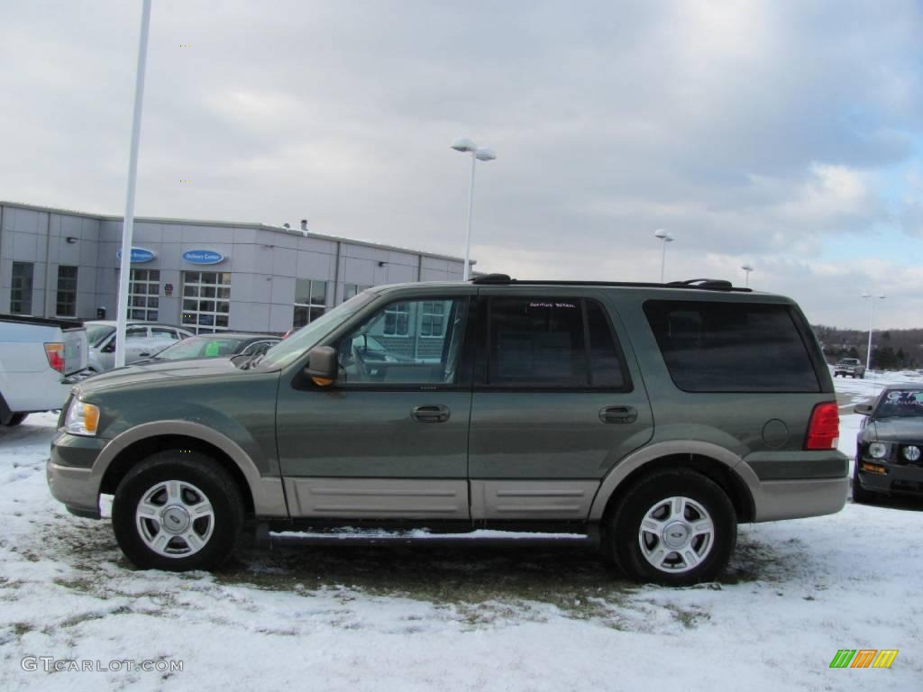 2003 Expedition Eddie Bauer 4x4 - Estate Green Metallic / Medium Parchment photo #2