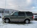 2003 Estate Green Metallic Ford Expedition Eddie Bauer 4x4  photo #2