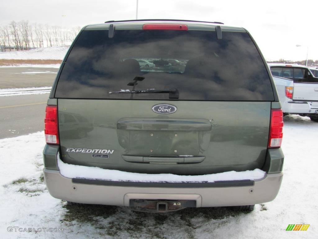 2003 Expedition Eddie Bauer 4x4 - Estate Green Metallic / Medium Parchment photo #4