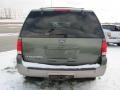 2003 Estate Green Metallic Ford Expedition Eddie Bauer 4x4  photo #4