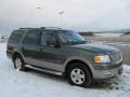 2003 Estate Green Metallic Ford Expedition Eddie Bauer 4x4  photo #5