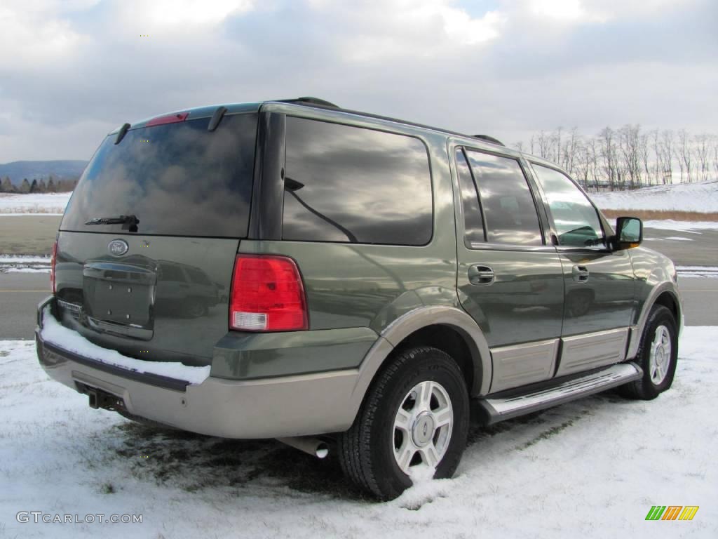 2003 Expedition Eddie Bauer 4x4 - Estate Green Metallic / Medium Parchment photo #10
