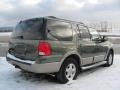 2003 Estate Green Metallic Ford Expedition Eddie Bauer 4x4  photo #10