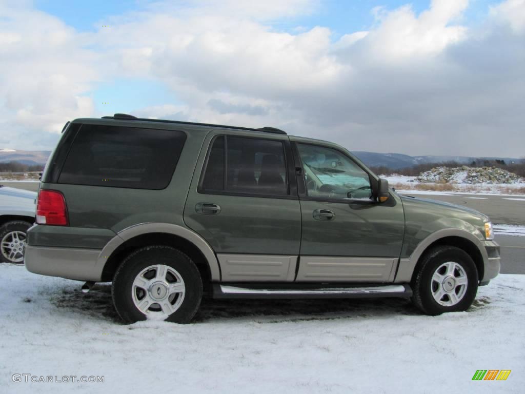 2003 Expedition Eddie Bauer 4x4 - Estate Green Metallic / Medium Parchment photo #11