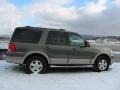 2003 Estate Green Metallic Ford Expedition Eddie Bauer 4x4  photo #11