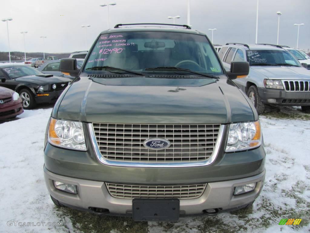2003 Expedition Eddie Bauer 4x4 - Estate Green Metallic / Medium Parchment photo #12