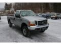 Silver Metallic - F250 Super Duty XLT Regular Cab 4x4 Photo No. 13