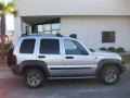 Bright Silver Metallic - Liberty Renegade Photo No. 7