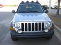 Bright Silver Metallic - Liberty Renegade Photo No. 9